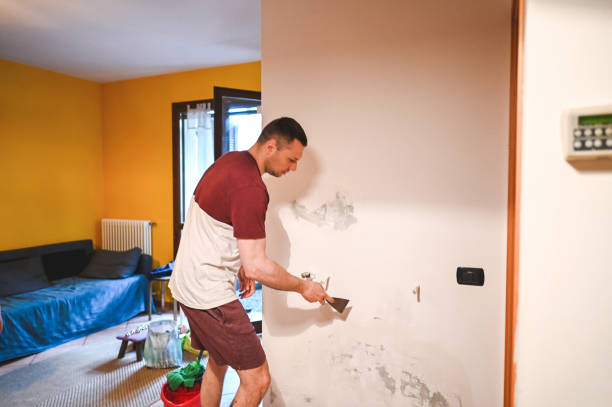 Best Commercial Mold Removal  in Whiteman Af, MO